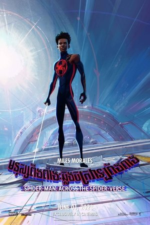 poster Spider-Man: Across the Spider-Verse