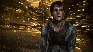 Maze Runner Correr o Morir Película Completa HD 1080p [MEGA] [LATINO]