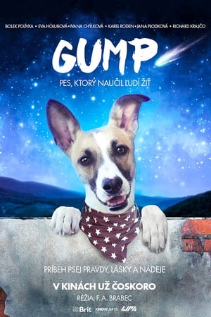 Poster Gump – pes, ktorý naučil ľudí žiť 2021