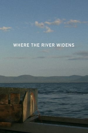 Where the river widens