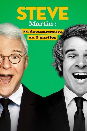 STEVE Martin : un documentaire en 2 parties movie poster
