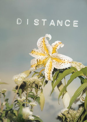 Distance