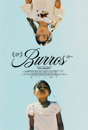Burros