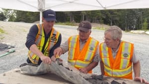 The Curse of Oak Island The Gold Metal