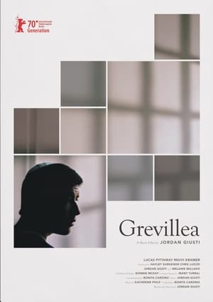 Poster Grevillea (2020)