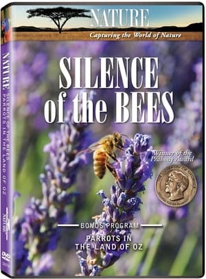 Poster Silence of the Bees (2008)