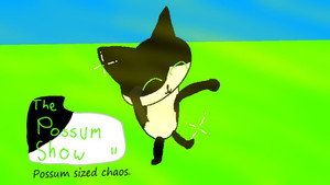 The Possum Show