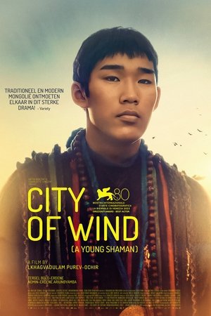 Image City of Wind