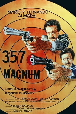 Poster 357 Magnum (1979)