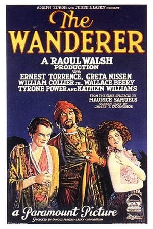 The Wanderer poster