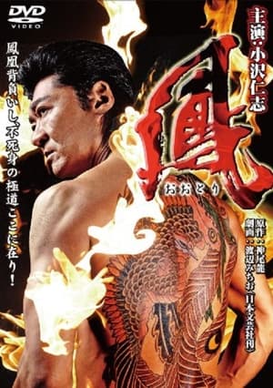 Poster Ootori (2009)