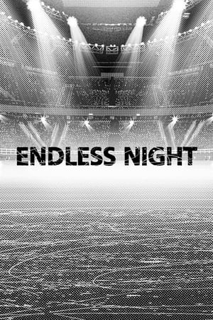 Poster Endless Night (2015)