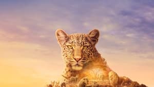 poster Serengeti