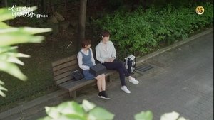 Cinderella and Four Knights 1×16 END