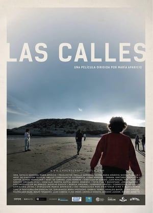 Poster Las calles 2016