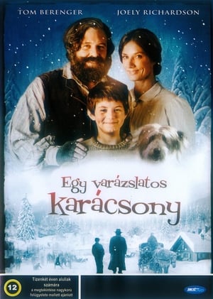 Poster Egy varázslatos karácsony 2007