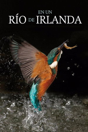 En un río de Irlanda (2014)