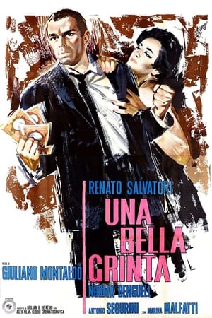 Poster Una bella grinta 1965