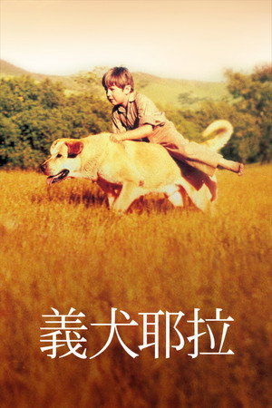老黄狗