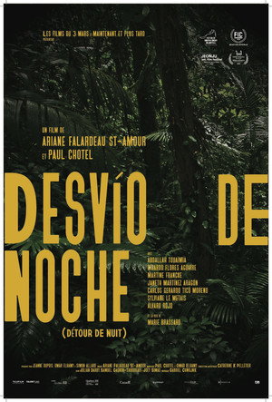 Night Detour 11