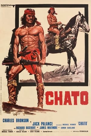 Poster di Chato