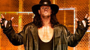 WWE Hell in a Cell 2009