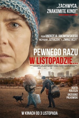 Poster Pewnego razu w listopadzie 2017