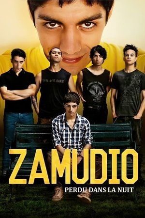 Zamudio : Perdu dans la nuit