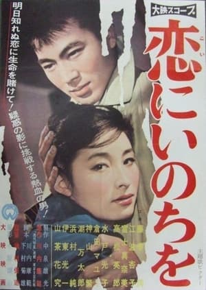 Poster Love and Life (1961)