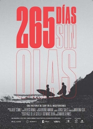 Poster 265 Days Without Waves 2022
