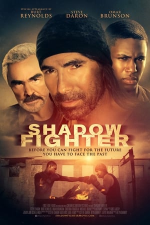 Poster di Shadow Fighter