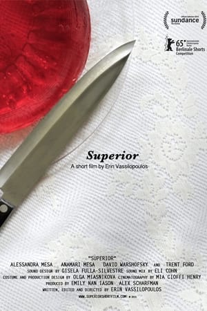 Poster Superior 2015