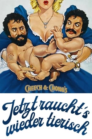 Cheech & Chong - Jetzt raucht's wieder tierisch (1984)