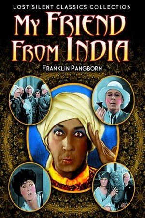 My Friend from India poster