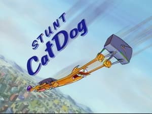 CatDog: 2×64