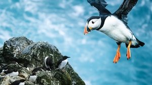 Shetland: Scotland's Wondrous Isles S1E1