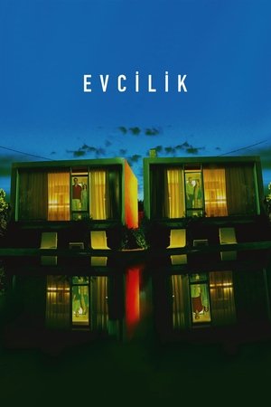 Poster Evcilik 2024