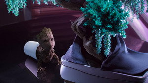 Captura 2