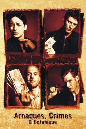 <Images posters