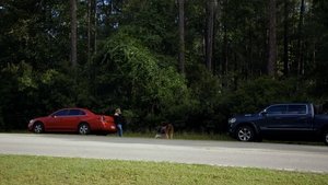 Pop the Trunk (2025)