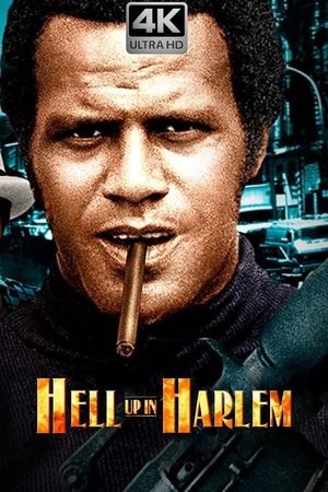 Image Heiße Hölle Harlem