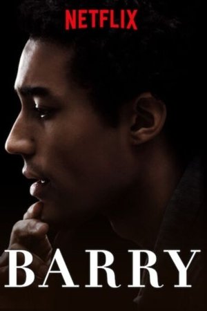 Nonton Drama Korea Barry (2016)