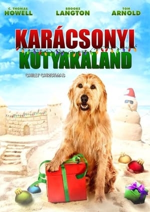 Poster Karácsonyi kutyakaland 2012