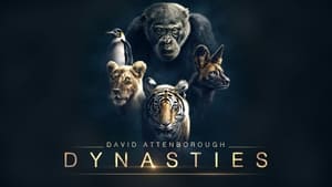 poster Dynasties