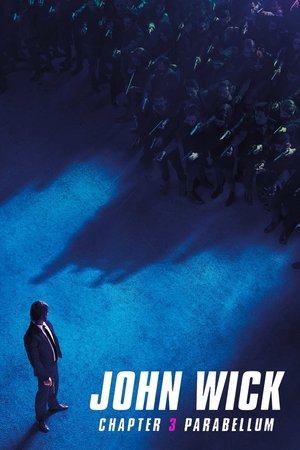 poster John Wick: Chapter 3 - Parabellum