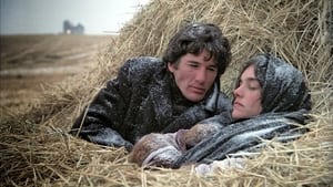 Days of Heaven (1978)