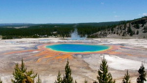 The Flood | StreamHub