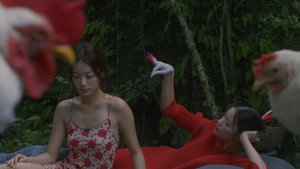 Chicken Stealing Eggs