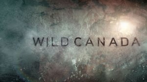 Wild Canada – Άγριος Καναδάς Δύο