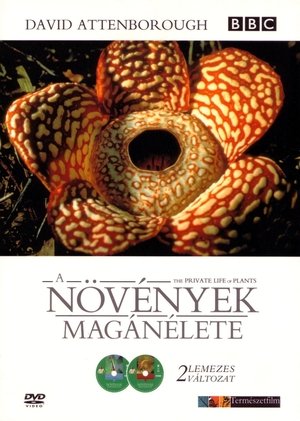 Image A növények magánélete